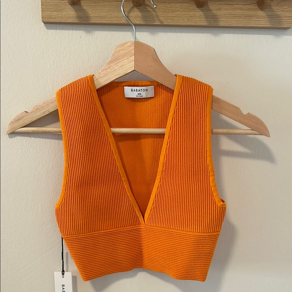 Aritzia, Babaton - NWT Sculpt Knit Deep V top